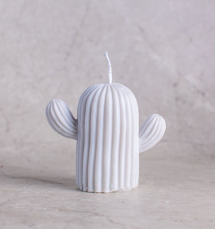 Cactussoycandle Grey