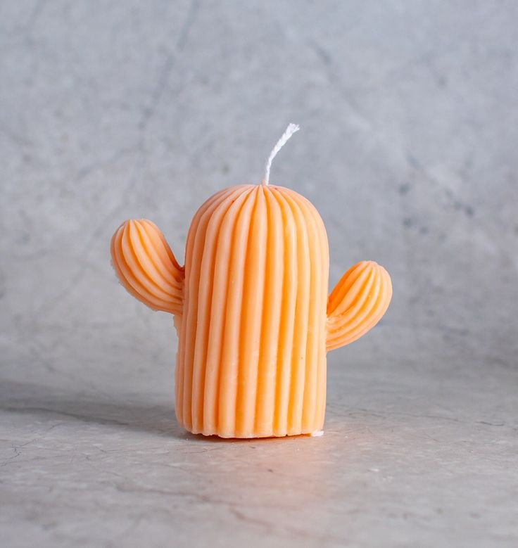 Cactussoycandle Orange